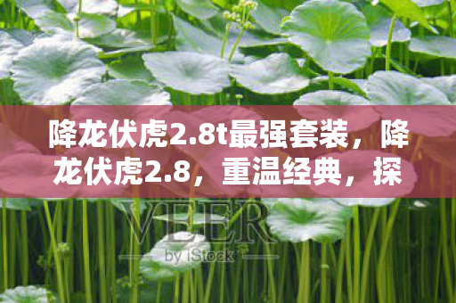 降龙伏虎2.8t最强套装，降龙伏虎2.8，重温经典，探索未知的游戏世界