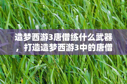 造梦西游3唐僧练什么武器，打造造梦西游3中的唐僧，修炼心得与策略