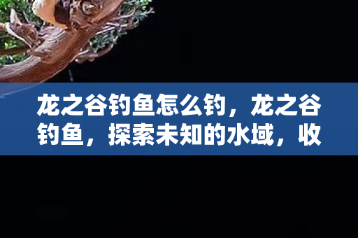 龙之谷钓鱼怎么钓，龙之谷钓鱼，探索未知的水域，收获满满的乐趣