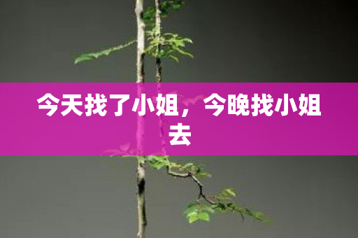 今天找了小姐，今晚找小姐去