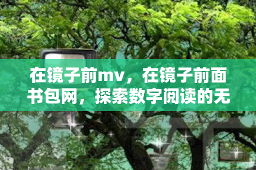 在镜子前mv，在镜子前面书包网，探索数字阅读的无限可能
