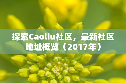 探索Caoliu社区,最新社区地址概览(2017年) 探索Caoliu社区,最新社区地址概览(2017年)
