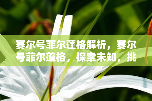 赛尔号菲尔蓬格解析，赛尔号菲尔蓬格，探索未知，挑战极限
