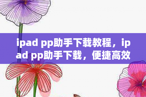 ipad pp助手下载教程，ipad pp助手下载，便捷高效，安全无忧的iOS设备管理工具