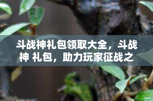 斗战神礼包领取大全，斗战神 礼包，助力玩家征战之旅的必备神器