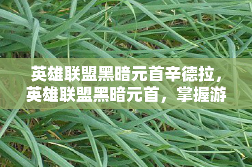 英雄联盟黑暗元首辛德拉，英雄联盟黑暗元首，掌握游戏节奏的关键角色