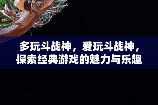 多玩斗战神，爱玩斗战神，探索经典游戏的魅力与乐趣
