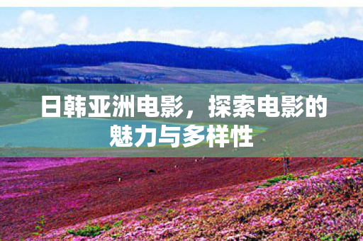 日韩亚洲电影，探索电影的魅力与多样性
