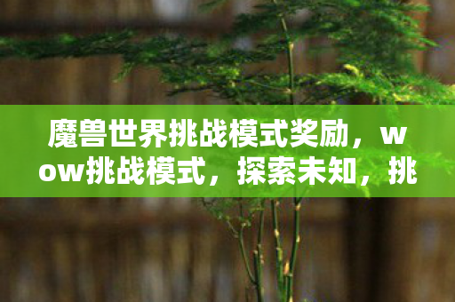 魔兽世界挑战模式奖励，wow挑战模式，探索未知，挑战极限