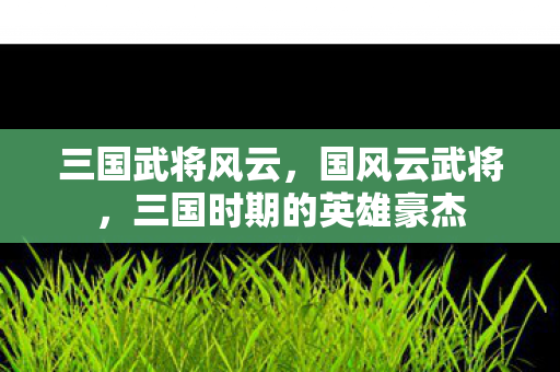 三国武将风云，国风云武将，三国时期的英雄豪杰