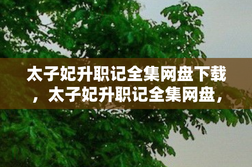 太子妃升职记全集网盘下载，太子妃升职记全集网盘，重温经典，尽享高清影视盛宴