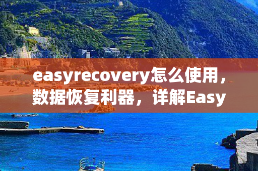 easyrecovery怎么使用，数据恢复利器，详解EasyRecovery的实用技巧