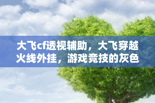 大飞cf透视辅助，大飞穿越火线外挂，游戏竞技的灰色阴影