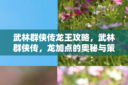 武林群侠传龙王攻略，武林群侠传，龙加点的奥秘与策略