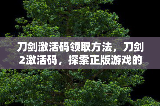 刀剑激活码领取方法，刀剑2激活码，探索正版游戏的珍贵密钥