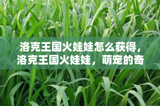 洛克王国火娃娃怎么获得，洛克王国火娃娃，萌宠的奇幻之旅