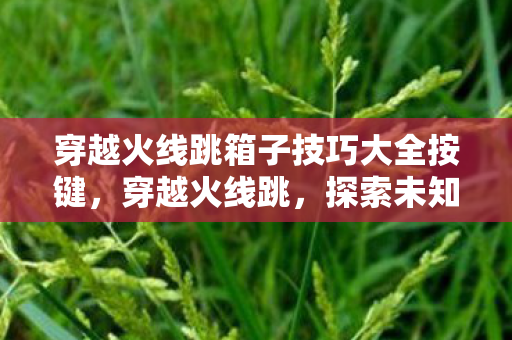 穿越火线跳箱子技巧大全按键，穿越火线跳，探索未知的挑战与乐趣