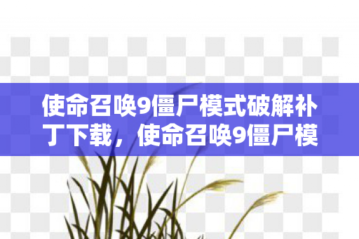 使命召唤9僵尸模式破解补丁下载，使命召唤9僵尸模式破解补丁，提升游戏体验的利器