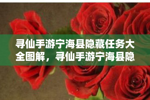 寻仙手游宁海县隐藏任务大全图解，寻仙手游宁海县隐藏任务揭秘，探索未知，解锁惊喜