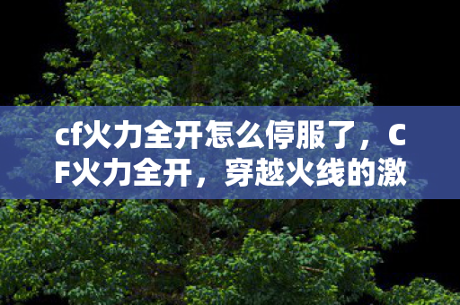 cf火力全开怎么停服了，CF火力全开，穿越火线的激情与无限可能