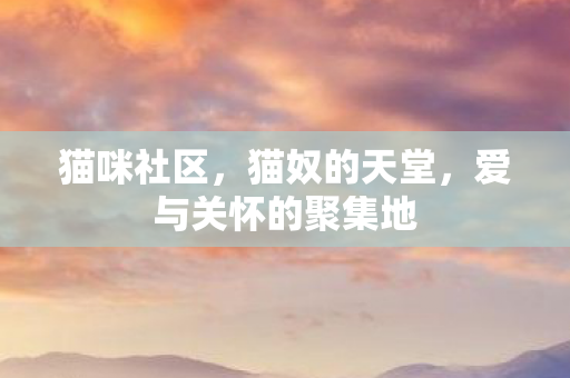 猫咪社区，猫奴的天堂，爱与关怀的聚集地