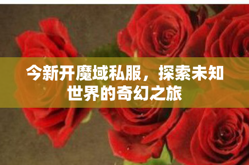 今新开魔域私服，探索未知世界的奇幻之旅