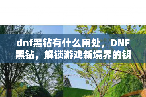 dnf黑钻有什么用处，DNF黑钻，解锁游戏新境界的钥匙