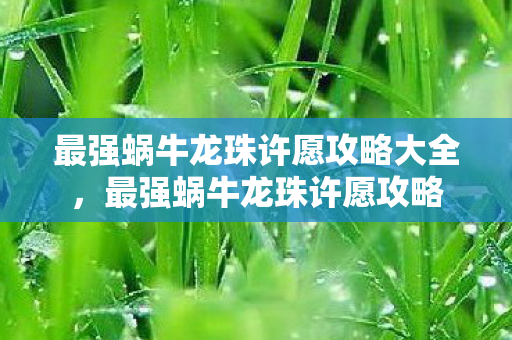 最强蜗牛龙珠许愿攻略大全，最强蜗牛龙珠许愿攻略