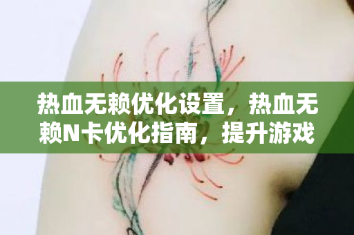 热血无赖优化设置，热血无赖N卡优化指南，提升游戏流畅度的关键步骤