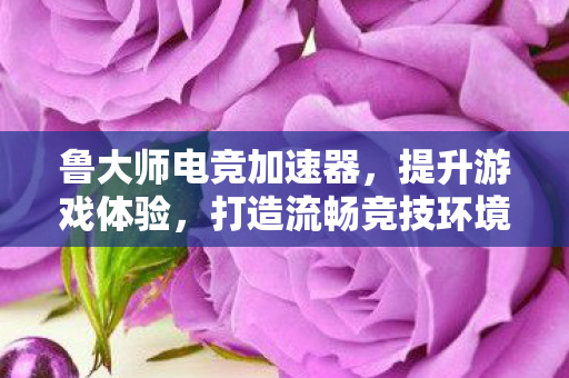 鲁大师电竞加速器，提升游戏体验，打造流畅竞技环境