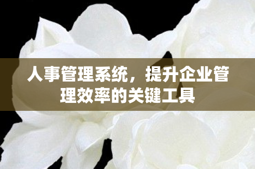 人事管理系统，提升企业管理效率的关键工具