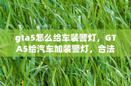 gta5怎么给车装警灯，GTA5给汽车加装警灯，合法与乐趣的碰撞