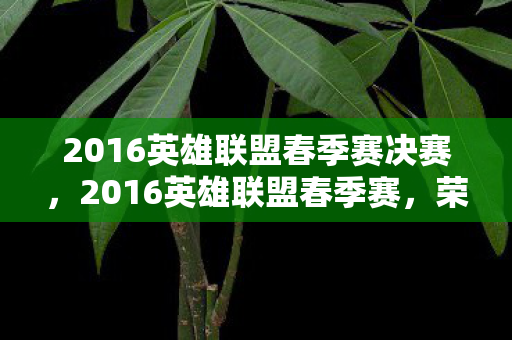 2016英雄联盟春季赛决赛，2016英雄联盟春季赛，荣耀与梦想的舞台