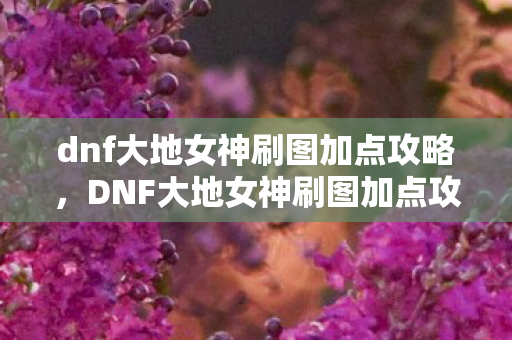 dnf大地女神刷图加点攻略，DNF大地女神刷图加点攻略，打造高效战斗体验