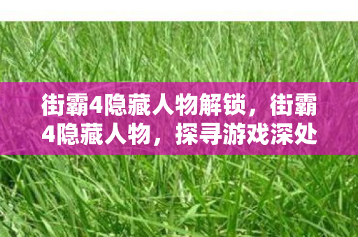 街霸4隐藏人物解锁，街霸4隐藏人物，探寻游戏深处的神秘力量