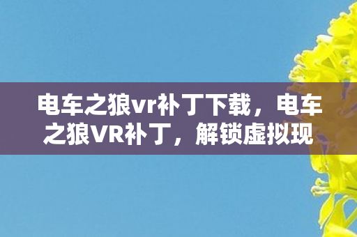 电车之狼vr补丁下载，电车之狼VR补丁，解锁虚拟现实的浪漫之旅
