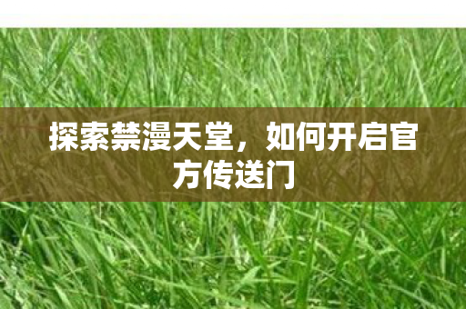 探索禁漫天堂，如何开启官方传送门