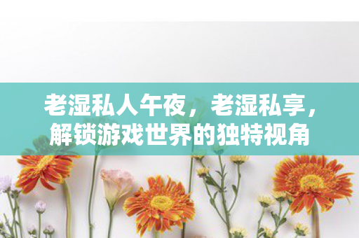 老湿私人午夜，老湿私享，解锁游戏世界的独特视角
