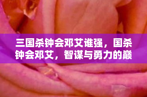 三国杀钟会邓艾谁强，国杀钟会邓艾，智谋与勇力的巅峰对决