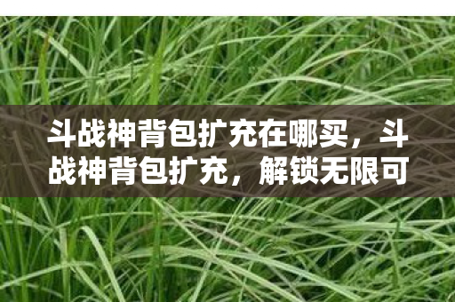 斗战神背包扩充在哪买，斗战神背包扩充，解锁无限可能，提升游戏体验