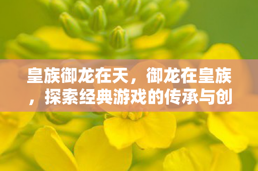 皇族御龙在天，御龙在皇族，探索经典游戏的传承与创新