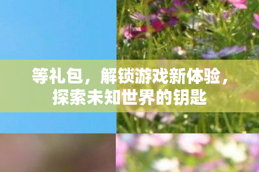 等礼包，解锁游戏新体验，探索未知世界的钥匙