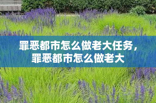 罪恶都市怎么做老大任务，罪恶都市怎么做老大