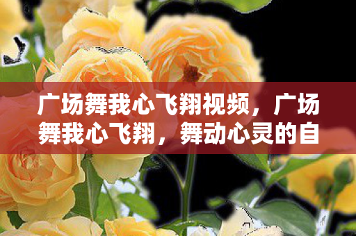 广场舞我心飞翔视频，广场舞我心飞翔，舞动心灵的自由旋律