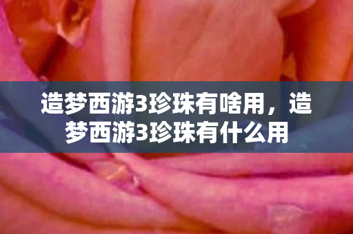 造梦西游3珍珠有啥用，造梦西游3珍珠有什么用
