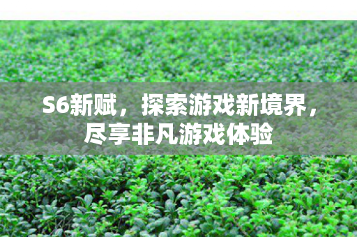 S6新赋，探索游戏新境界，尽享非凡游戏体验