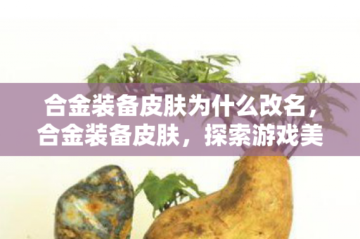 合金装备皮肤为什么改名，合金装备皮肤，探索游戏美学与玩家文化的交汇点