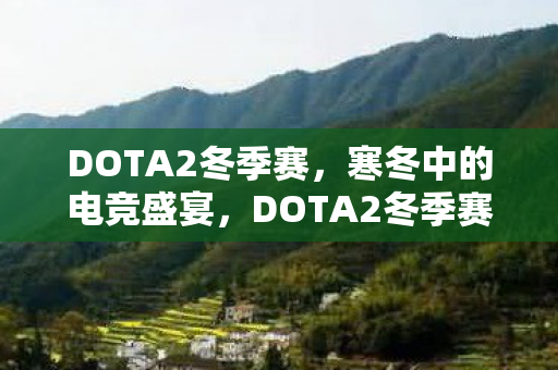 DOTA2冬季赛，寒冬中的电竞盛宴，DOTA2冬季赛的深度剖析