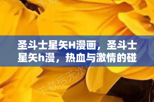 圣斗士星矢H漫画，圣斗士星矢h漫，热血与激情的碰撞