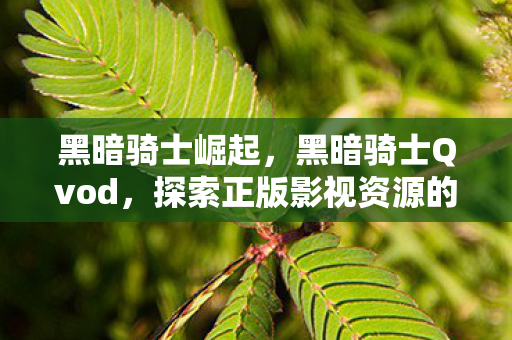 黑暗骑士崛起，黑暗骑士Qvod，探索正版影视资源的魅力